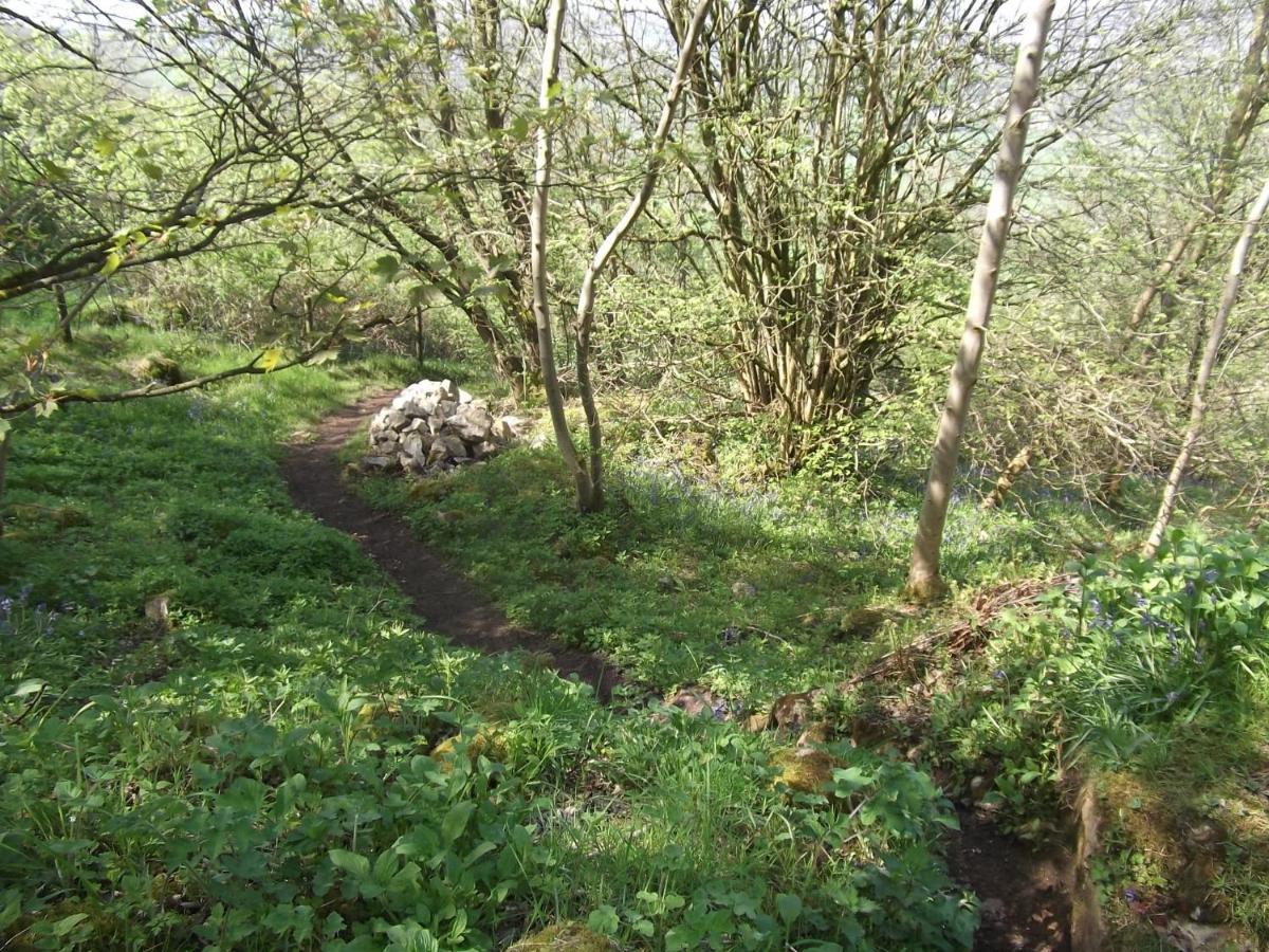Hall Dale View Near Matlock & Peak District Buitenkant foto